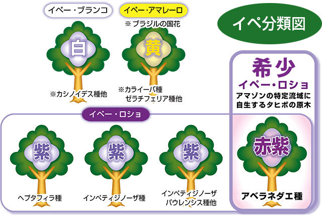 イペ分類図