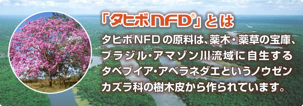 タヒボNFDとは