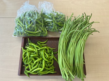 さつまいものつるとししとう