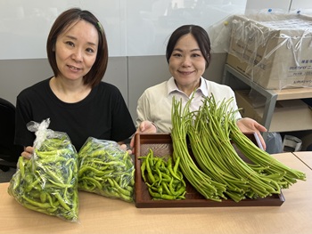 アロハースタッフ