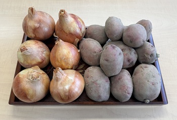 「野菜」