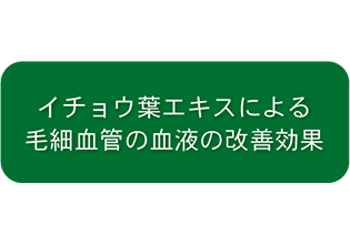 毛細血管の血液改善効果イメージ(01)